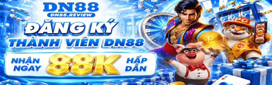 dn88review