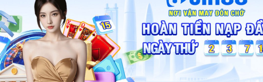 tn88info