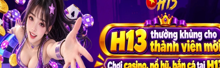 h13solutions